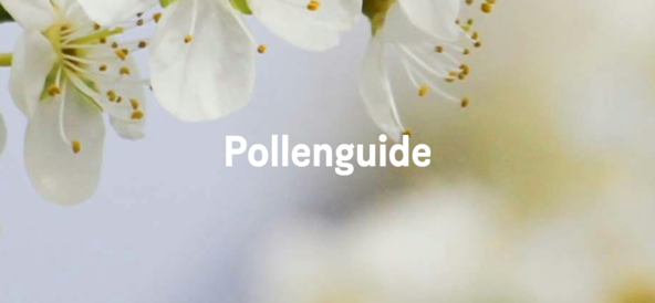 Allergisk mot pollen? Läs våra tips mot pollenallergi 🌼