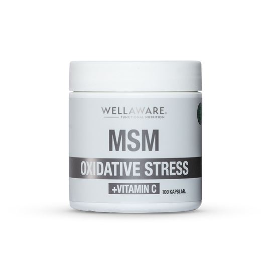 WellAware Health MSM + Vitamin C 100 kapslar