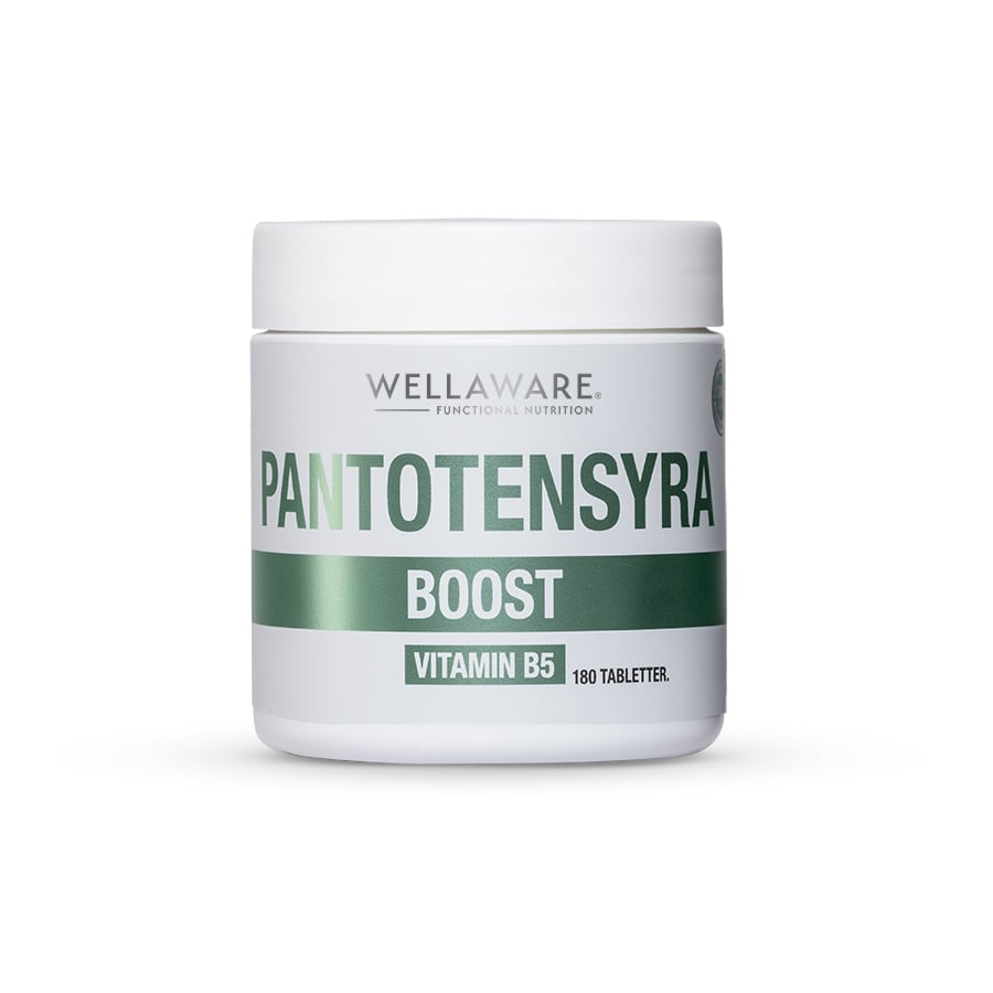 WellAware Health B5 Pantontensyra 180 tabletter