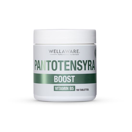WellAware Health B5 Pantontensyra 180 tabletter