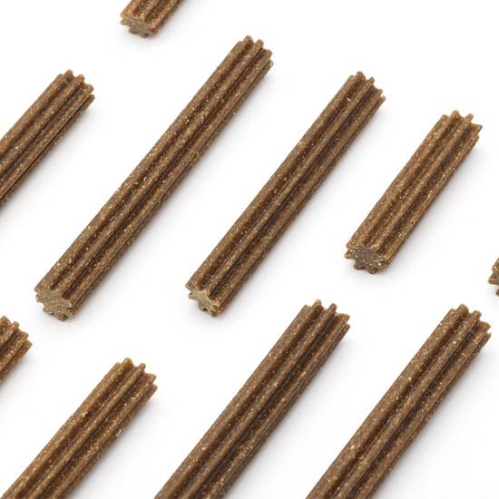 Petgood Dental sticks med insektsprotein M