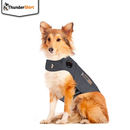 Thundershirt Trygghetsskapande Tröja XS
