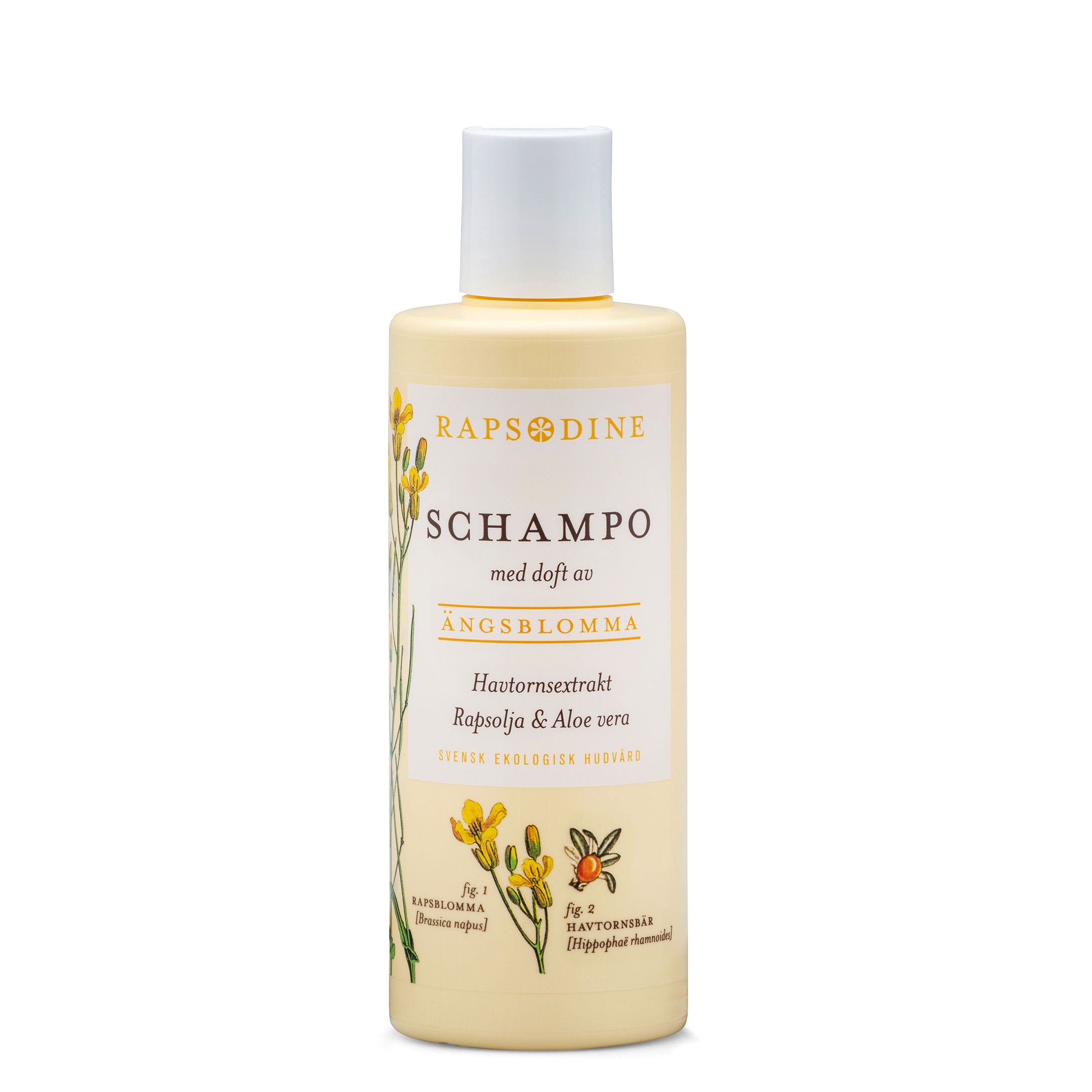 Rapsodine Schampo Havtorn 250 ml
