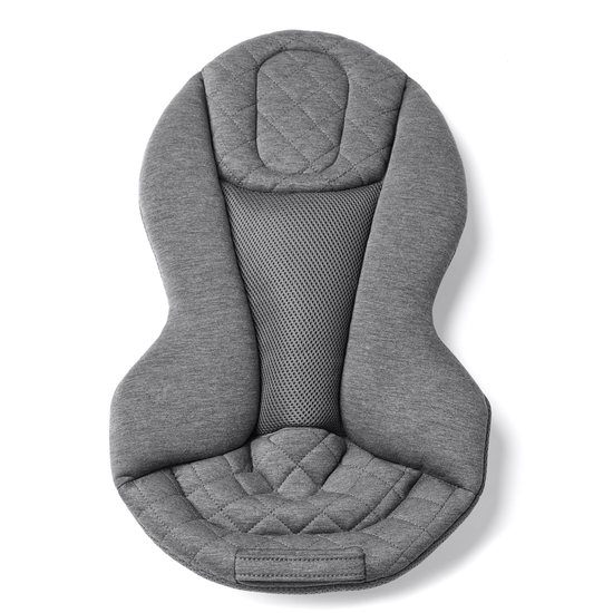 Ergobaby Evolve 3-in-1 Bouncer Charcoal Grey
