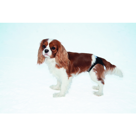 Trixie Tikskydd Svart 50 cm