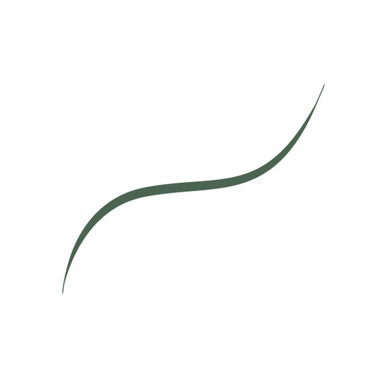 L'Oréal Paris Infaillible Grip 36H Micro-Fine eyeliner Sage Green 05