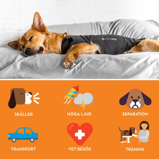 Thundershirt Trygghetsskapande Tröja L