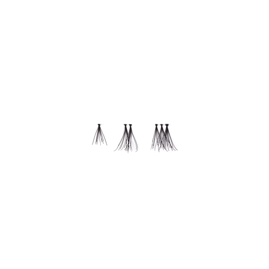 SWEED Lashes Cluster Flair
