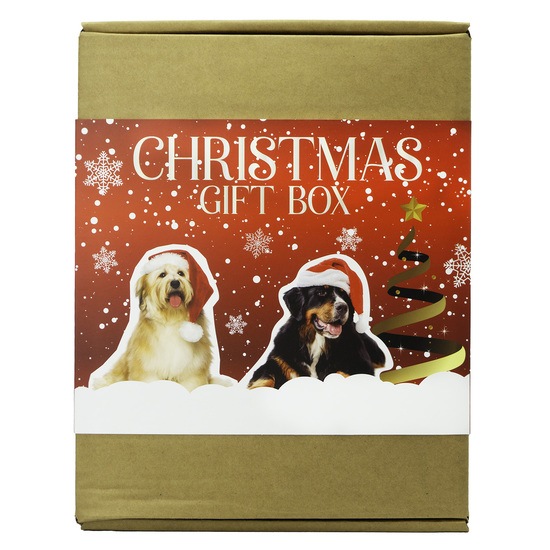 Treateaters Christmas Gift Box