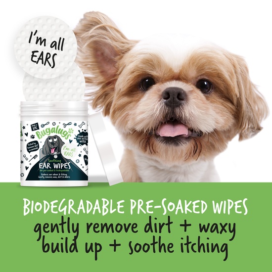 Bugalugs Pre-Soaked Ear Pads 100-pack