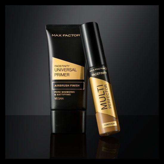MAX FACTOR Facefinity Multi-Perfector Concealer 5W