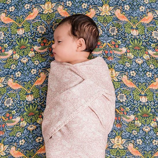 DockATot Swaddler Filtar Brer Rabbit/Strawberry Thief William Morris
