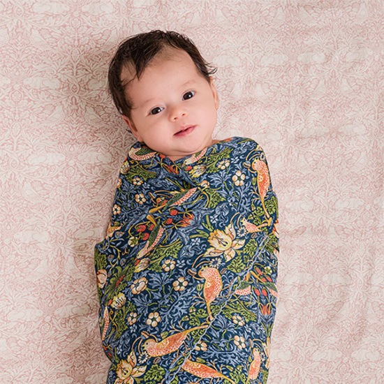 DockATot Swaddler Filtar Brer Rabbit/Strawberry Thief William Morris