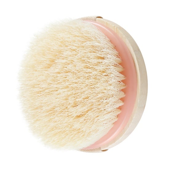 EcoTools Dry Body Brush
