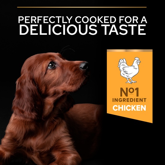 Purina Pro Plan Medium Puppy Rikt på Kyckling 3 kg