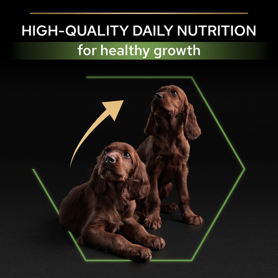 Purina Pro Plan Medium Puppy Rikt på Kyckling 3 kg