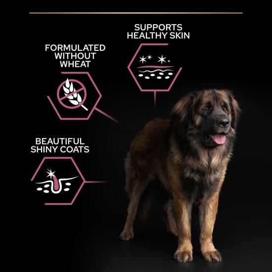Purina Pro Plan Medium Puppy Sensitive Skin Rikt på lax 3 kg