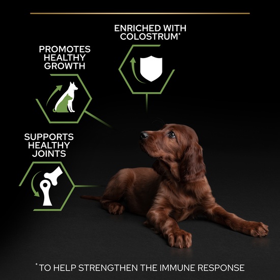 Purina Pro Plan Small & Mini Puppy Rikt på Kyckling 3 kg