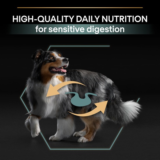 Purina Pro Plan Small & Mini Adult Dog Sensitive Digestion Rikt på Lamm 3 kg