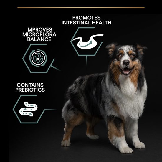 Purina Pro Plan Small & Mini Adult Dog Sensitive Digestion Rikt på Lamm 3 kg