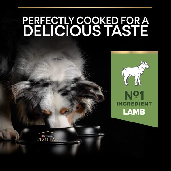 Purina Pro Plan Small & Mini Adult Dog Sensitive Digestion Rikt på Lamm 3 kg