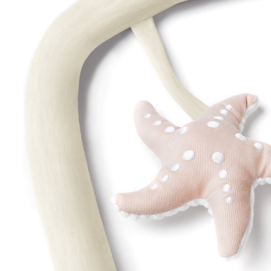 Evolve Toy Bar Ocean Wonders Cream