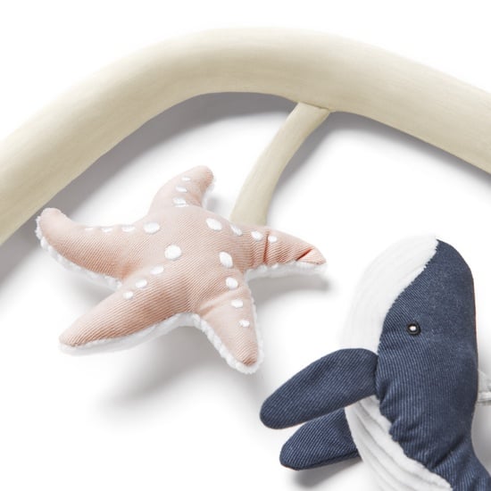 Evolve Toy Bar Ocean Wonders Cream