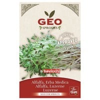 GEO Alfalfafrö EKO 40 g