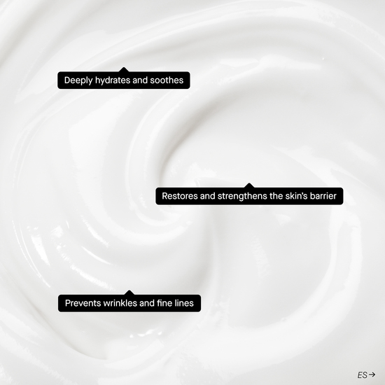 Niche Beauty Lab Barrier Restoring Hydrating Cream 50 ml