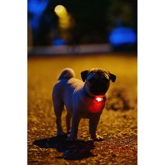 TICKLESS Fästingavvisare Mini Dog Black