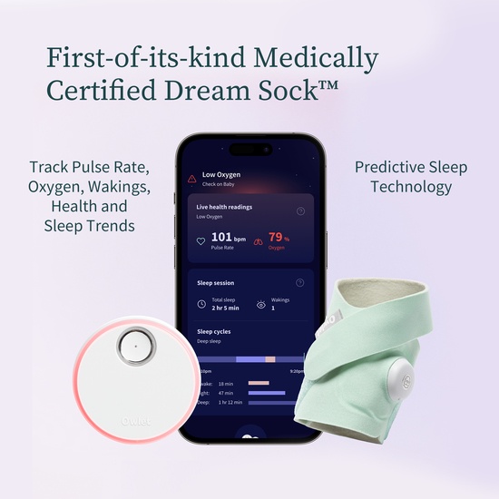 Owlet Dream Sock Mint