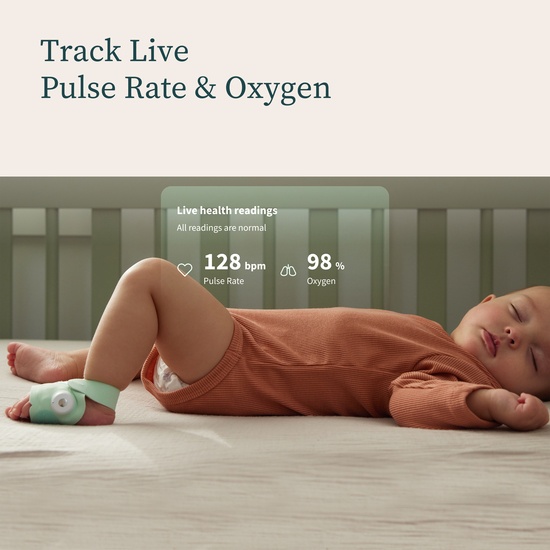 Owlet Dream Sock + Cam2 Bundle Mint