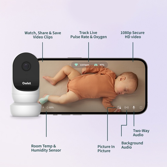 Owlet Dream Sock + Cam2 Bundle Mint