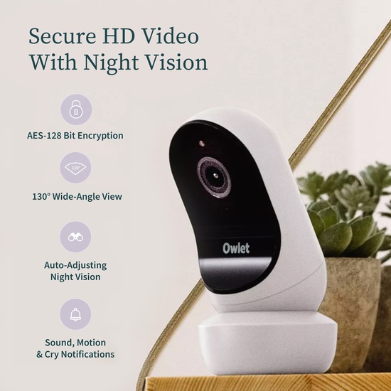 Owlet Dream Sock + Cam2 Bundle Mint