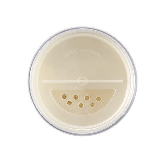 IsaDora The Loose Setting Translucent Powder 00 9 g