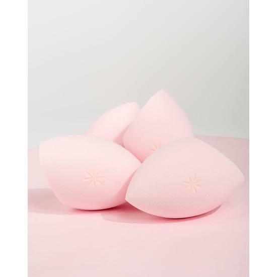 Brushworks Wonder Sponge Set