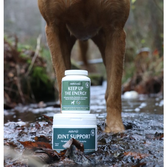 AktivSvea Joint Support 200 g