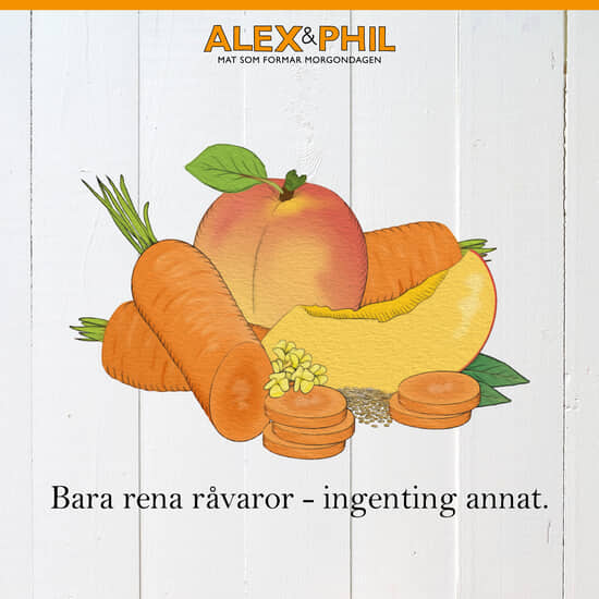 Alex&Phil Morot & mangosmoothie 5 x 100 g