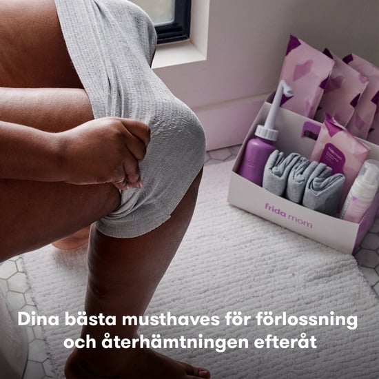 Frida mom Mammas BB-kit