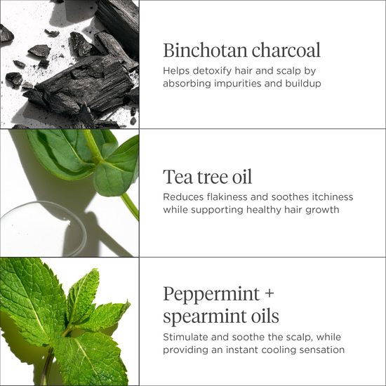 Briogeo Scalp Revival Charcoal + Tea Tree Cooling Hydration Mask 177 ml