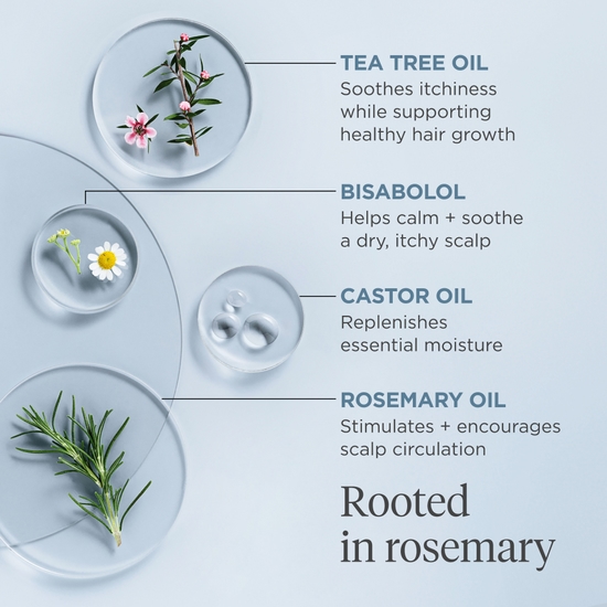 Briogeo Scalp Revival Rosemary Pre-wash Oil 100 ml