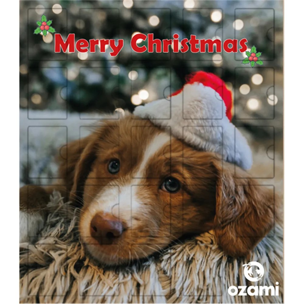 Ozami Adventskalender Hund