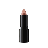 IsaDora Perfect Moisture Lipstick 225 Rose Beige 4 g