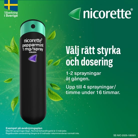 Nicorette Fruktmint munhålespray 1 mg/spray 2 x 150 st
