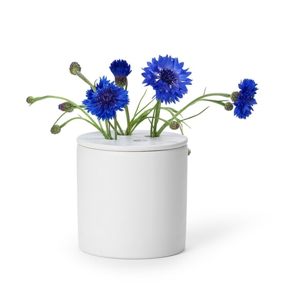 In Flore Anna Doftljus Gardenia 350 g