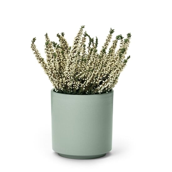 In Flore Estrid Doftljus Roble Wood 465 g