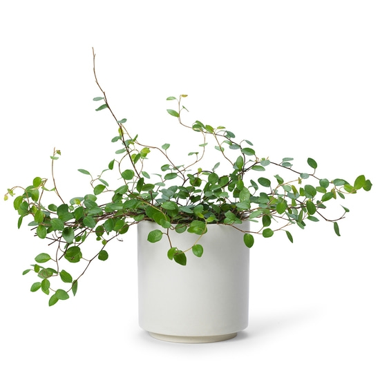 In Flore Estrid Doftljus Foggy Vanilla 465 g