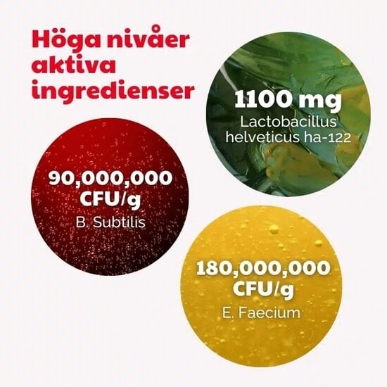 BuddyCare Probiotic 150 g