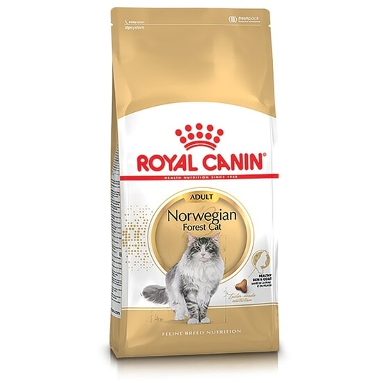 Royal Canin Norwegian Forest Cat Adult Torrfoder för Katt 10 kg