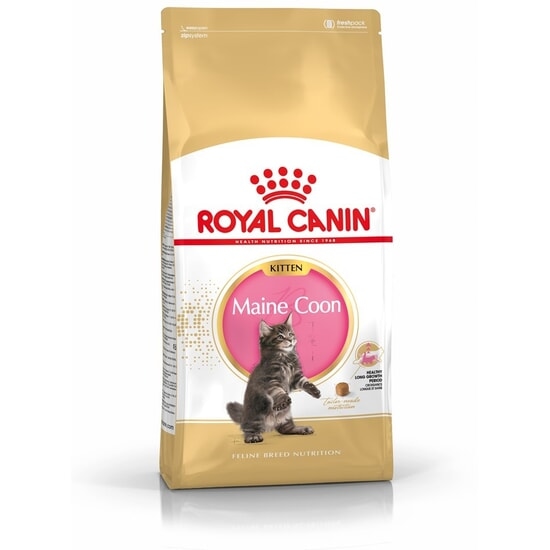 Royal Canin Maine Coon Kitten Torrfoder för Kattunge 4 kg